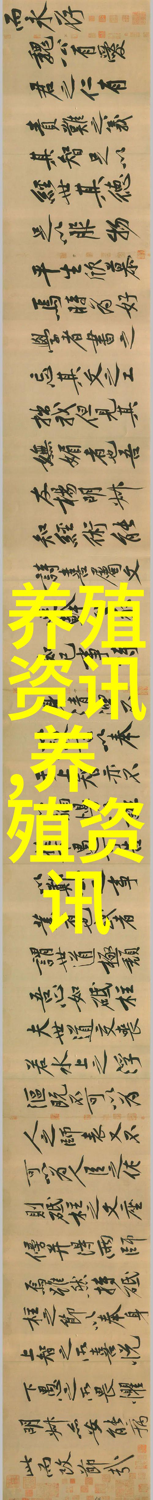 鸭子被关在稻田里ShaoguanRenhuarice鸭新技术推广