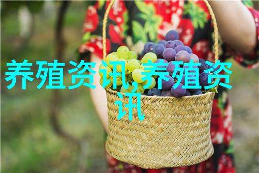 董红韬林后院鸡打开致富门