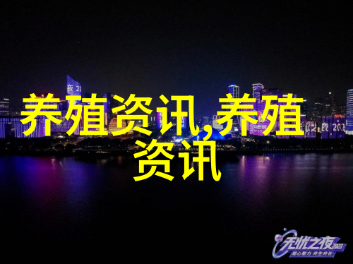 2017年8月21日全国鸭苗鸭及相关产品市场微报纸
